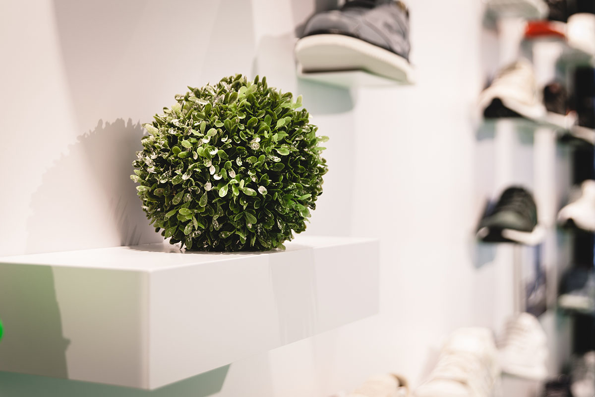 AFEW STROE Sneaker Store Düsseldorf